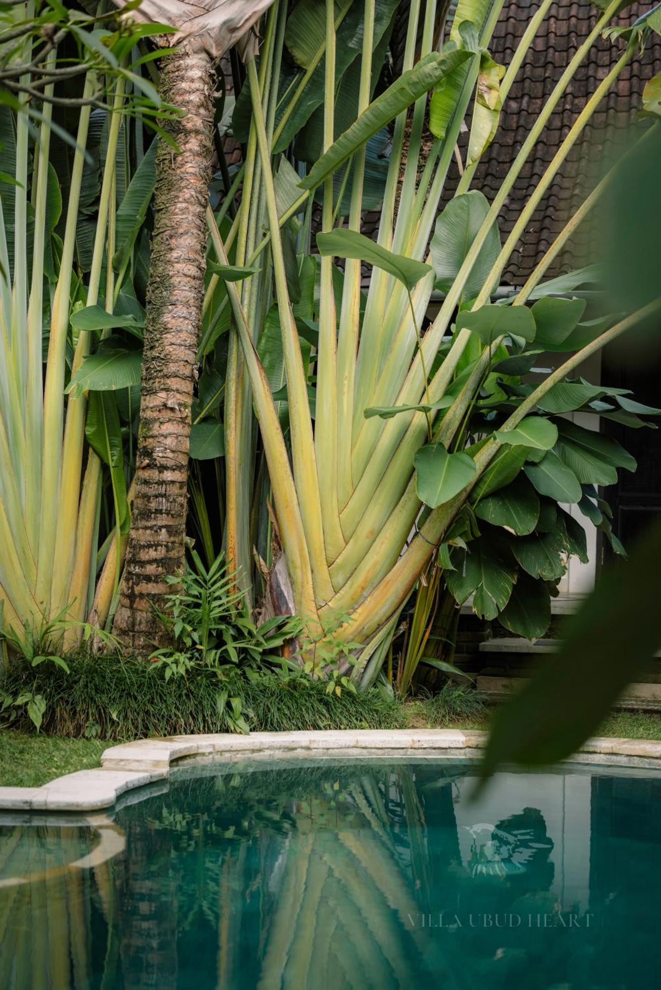 Villa Ubud Heart Exterior foto